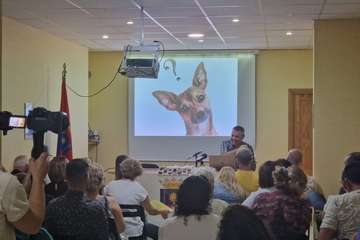 Más por Telde analiza y debate la nueva Ley de Protección y Bienestar Animal/TA.